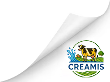 Not Just A Dairy But An Authentic Modern Dairy Farm